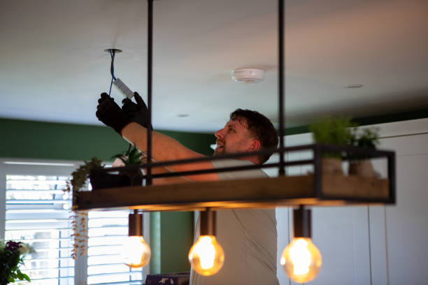 Best Electrician for Home Renovation  in Lemont, PA